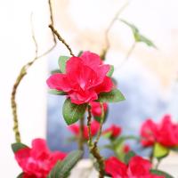 uploads/erp/collection/images/Home Garden/CongDing/XU0610778/img_b/XU0610778_img_b_4
